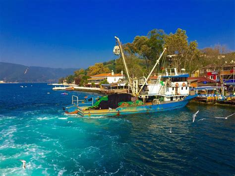 Anadolu Kavağı Nerede? Keşfetmek İçin Bilmeniz Gerekenler